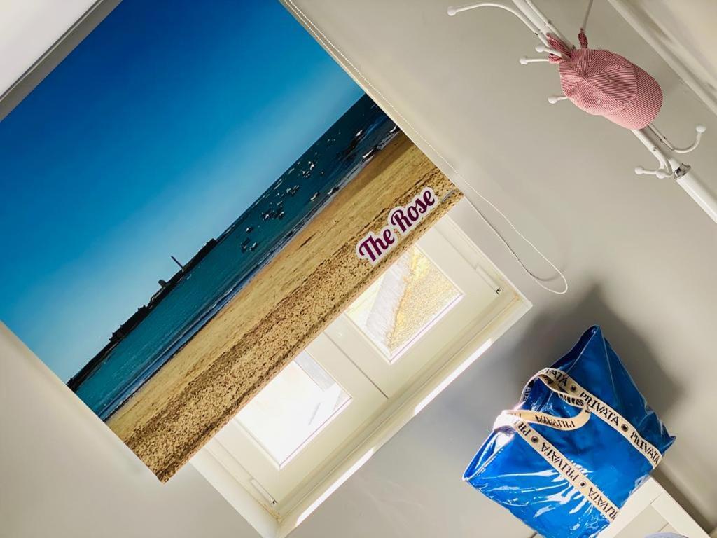 Atico Loft The Rose 48 Daire Cadiz Dış mekan fotoğraf